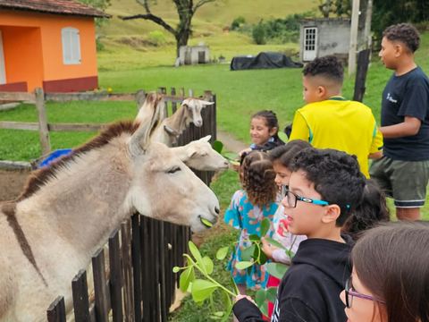 Fazendinha — foto de capa