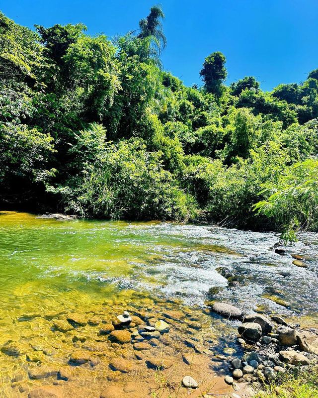 Rio de água corrente entre as pedras