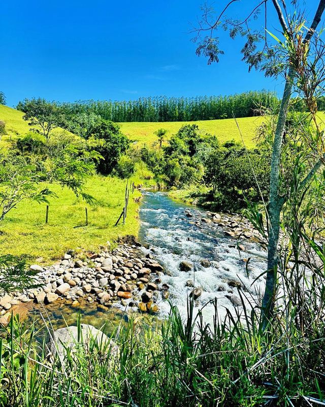 Rio cortando o pasto